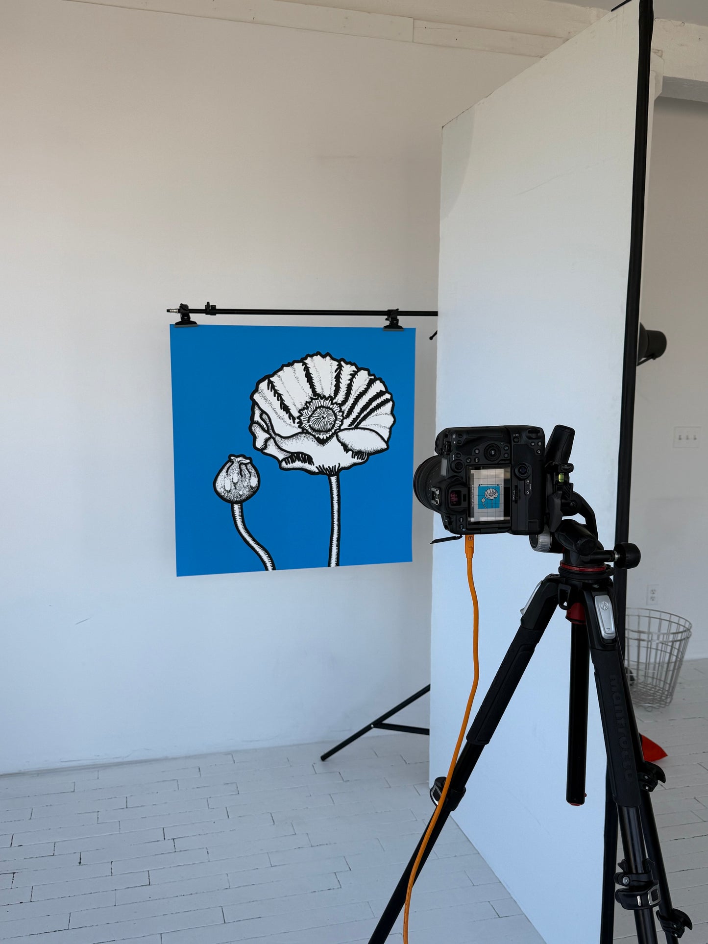 "Green Lily" by Richard Lilley, 2024