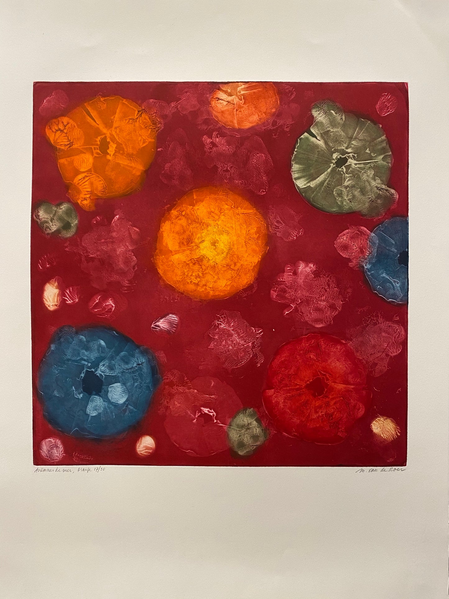 Anémones de mer, orange by Michele van de Roer - Mourlot Editions - Fine_Art - Poster - Lithograph - Wall Art - Vintage - Prints - Original