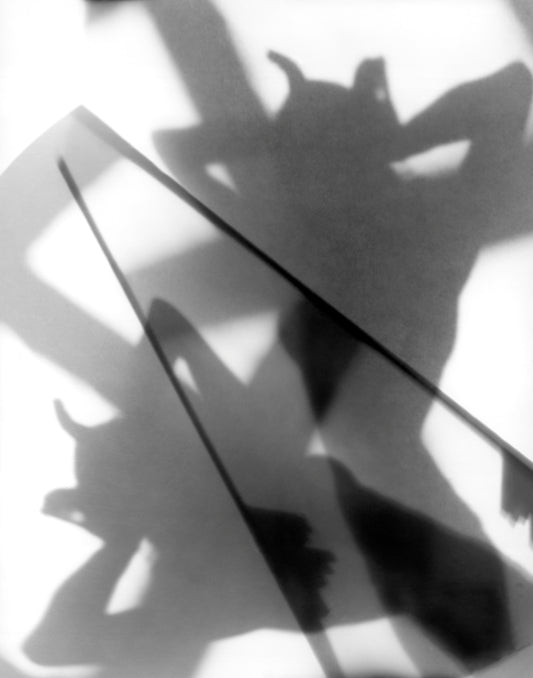 Nine Lives 2 by Eva Petric - Mourlot Editions - Fine_Art - Poster - Lithograph - Wall Art - Vintage - Prints - Original