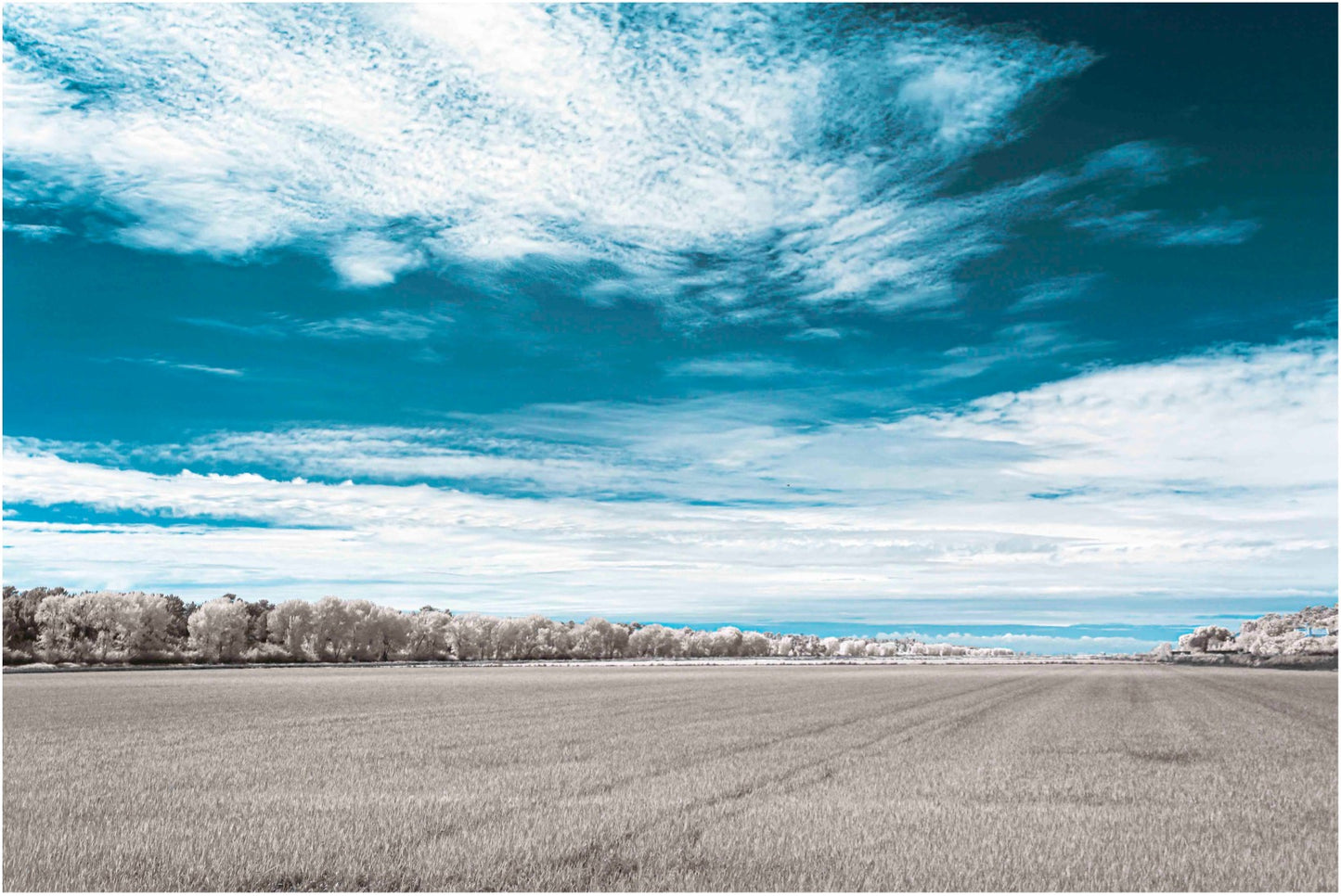 "Essence of Comporta... Campo de Meditação" by Celia Rogge