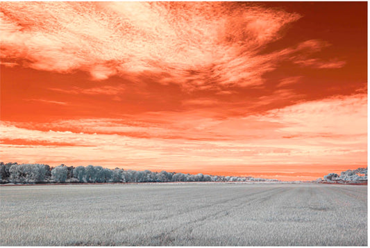 "Essence of Comporta... Campo de Meditação" by Celia Rogge