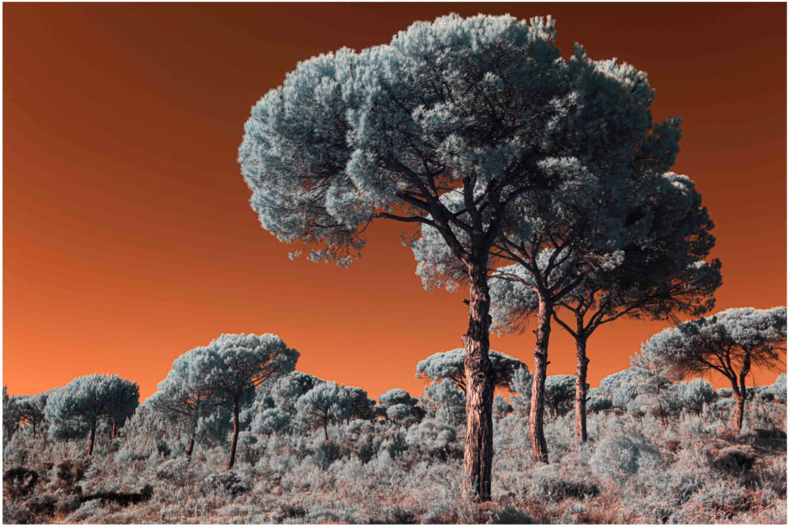 "Threesome..." by Celia Rogge