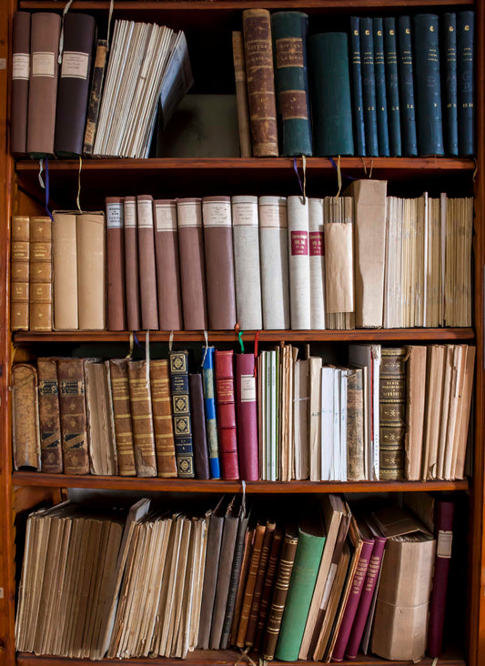 "Schloss Senftenegg - Bibliothek I..." by Celia Rogge - Mourlot Editions - Fine_Art - Poster - Lithograph - Wall Art - Vintage - Prints - Original