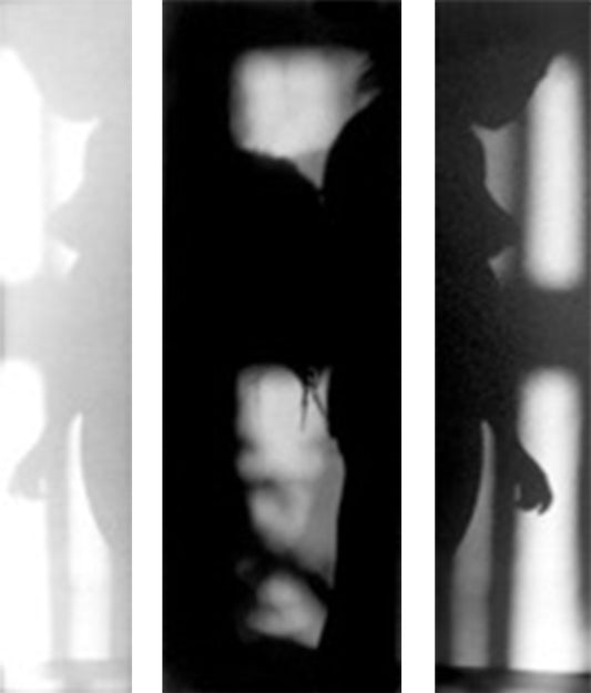 Shadow of a Shadow by Eva Petrič - Mourlot Editions - Fine_Art - Poster - Lithograph - Wall Art - Vintage - Prints - Original