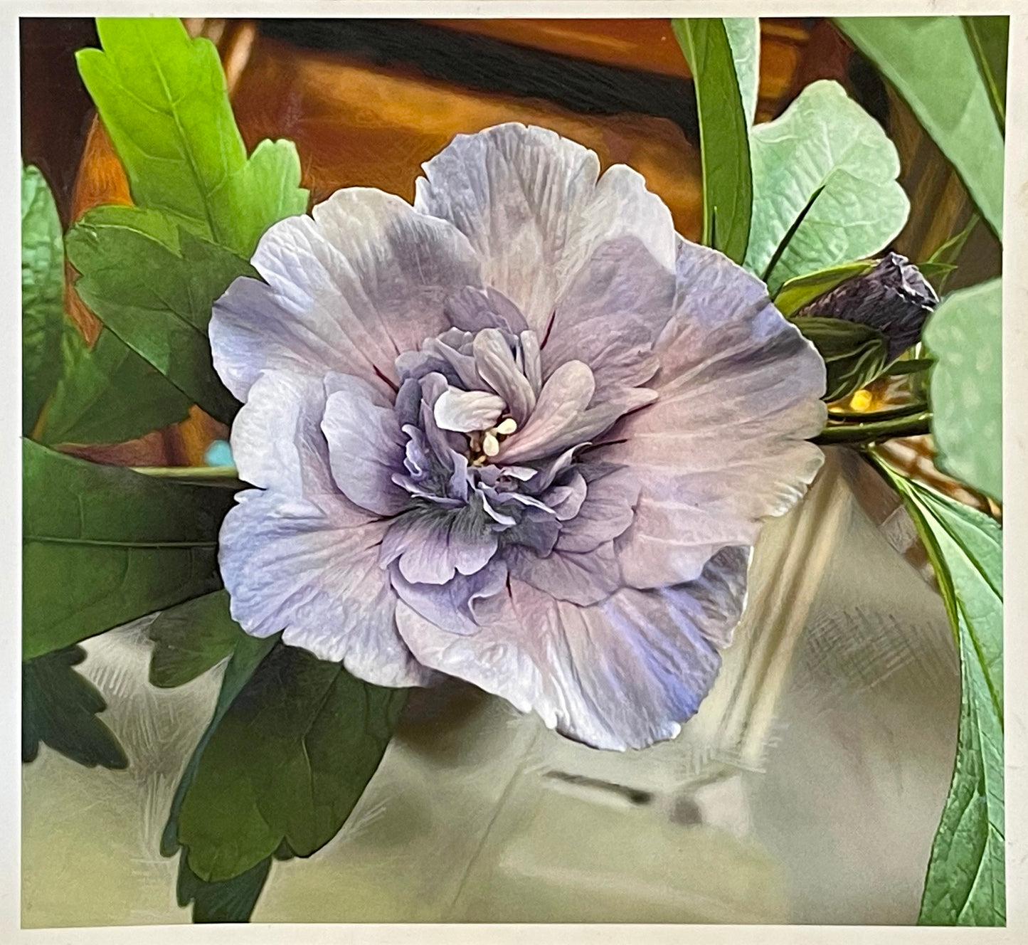 Lavender Hibiscus by Judith Seligson - Mourlot Editions - Fine_Art - Poster - Lithograph - Wall Art - Vintage - Prints - Original