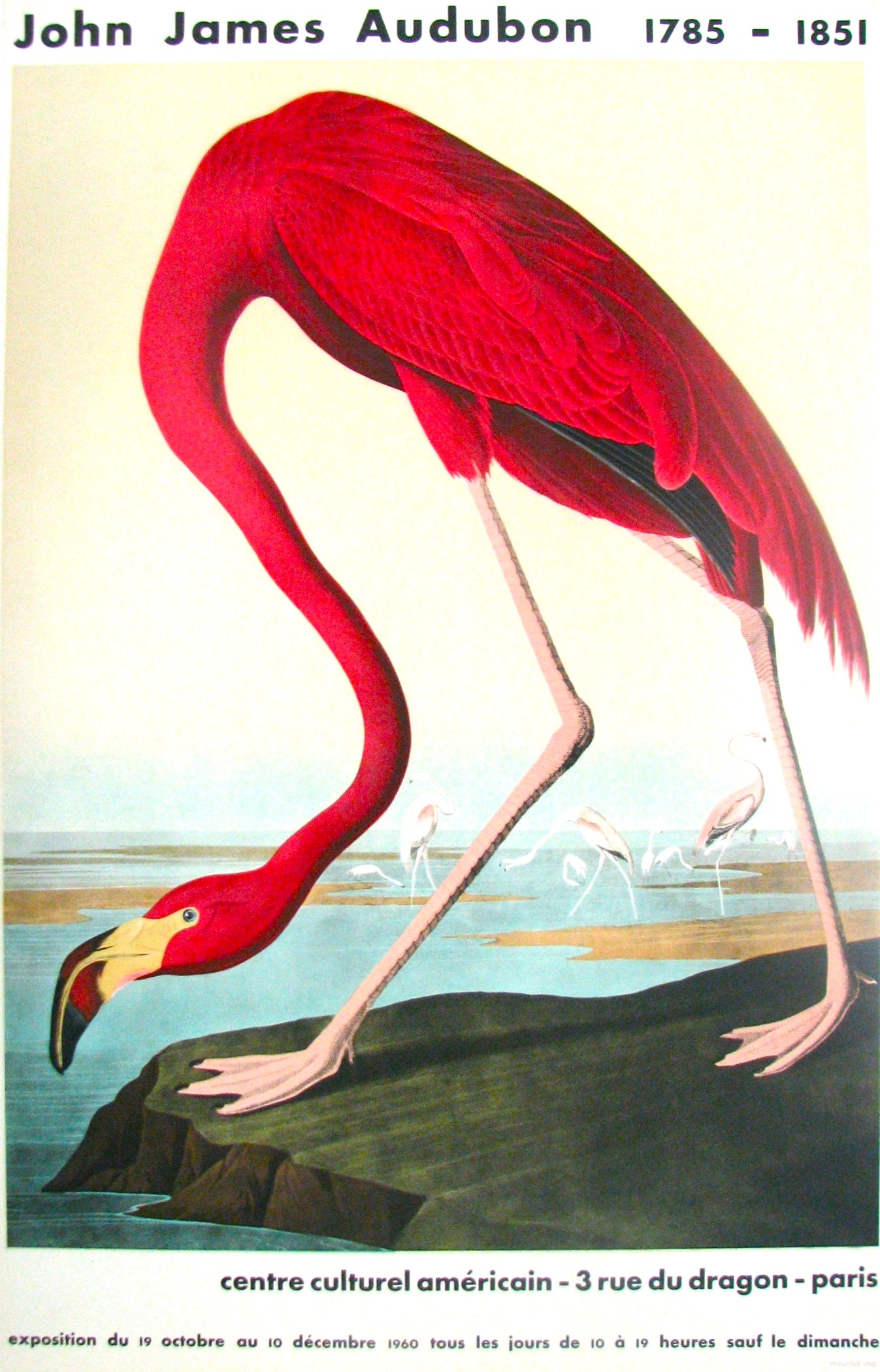 American Flamingo by John James Audubon, 1960 - Mourlot Editions - Fine_Art - Poster - Lithograph - Wall Art - Vintage - Prints - Original