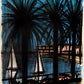 Galerie 65 - Cannes, by Bernard Buffet, 1960 - Mourlot Editions - Fine_Art - Poster - Lithograph - Wall Art - Vintage - Prints - Original