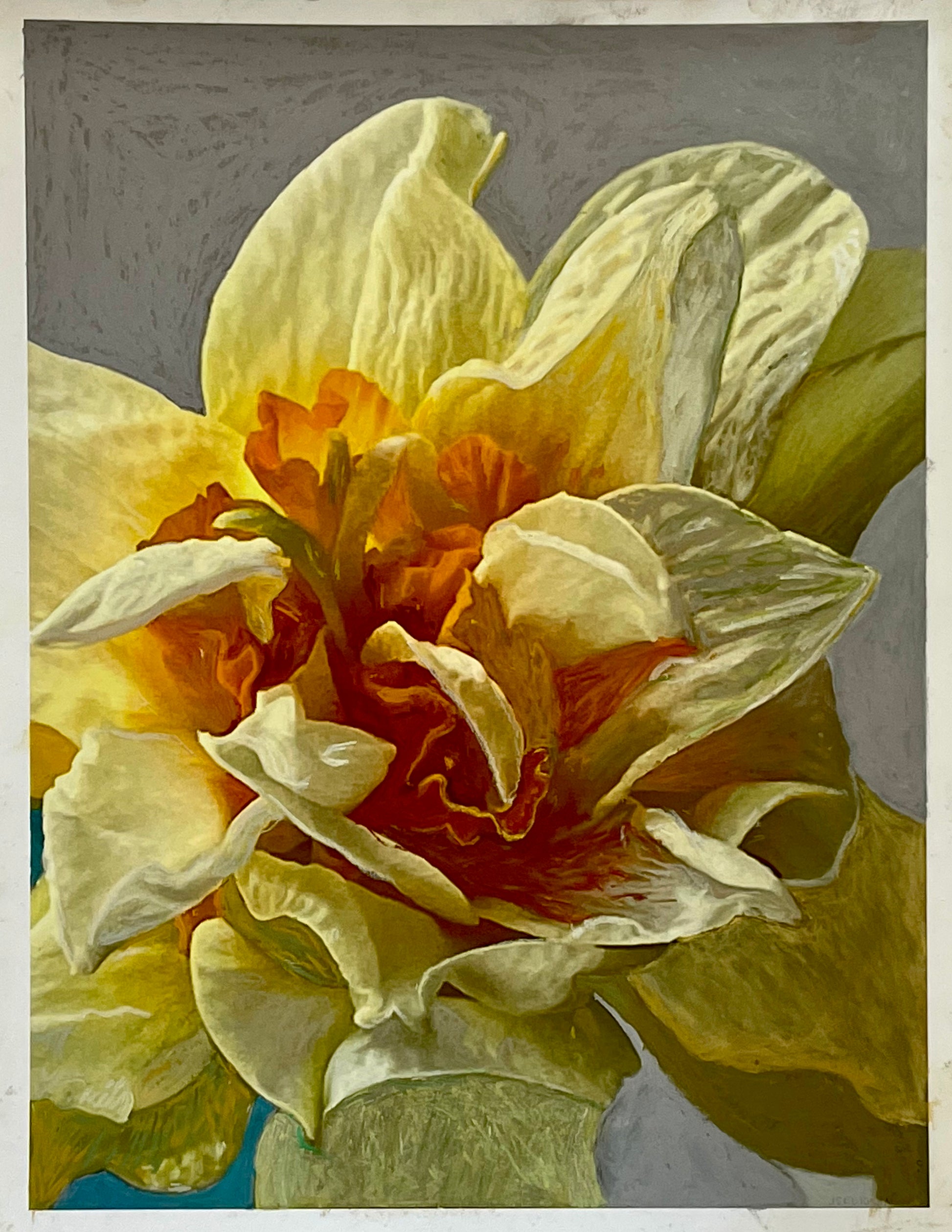 Frilly Daffodil by Judith Seligson - Mourlot Editions - Fine_Art - Poster - Lithograph - Wall Art - Vintage - Prints - Original