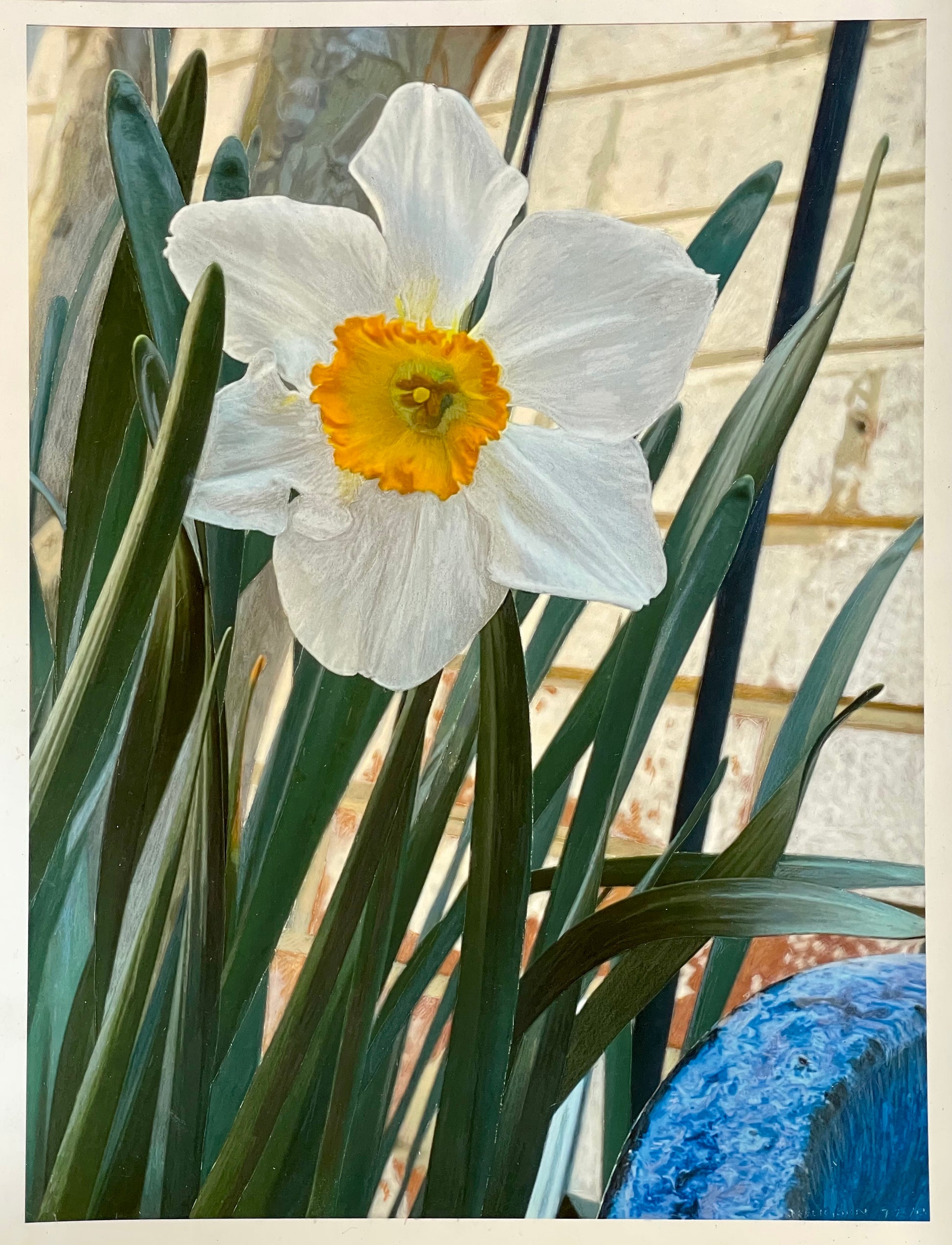 Daffodil by Judith Seligson - Mourlot Editions - Fine_Art - Poster - Lithograph - Wall Art - Vintage - Prints - Original