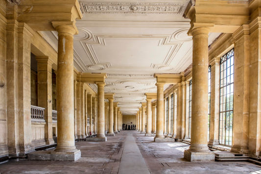 "L'Orangerie Abandonnée..." by Celia Rogge - Mourlot Editions - Fine_Art - Poster - Lithograph - Wall Art - Vintage - Prints - Original