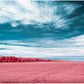 "Essence of Comporta... Campo de Meditação" by Celia Rogge