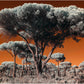 "Out of Comporta..." by Celia Rogge
