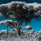"Out of Comporta..." by Celia Rogge