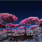 "Fireworks..." by Celia Rogge