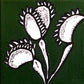 Venus Fly Trap by Richard Lilley - Mourlot Editions - Fine_Art - Poster - Lithograph - Wall Art - Vintage - Prints - Original